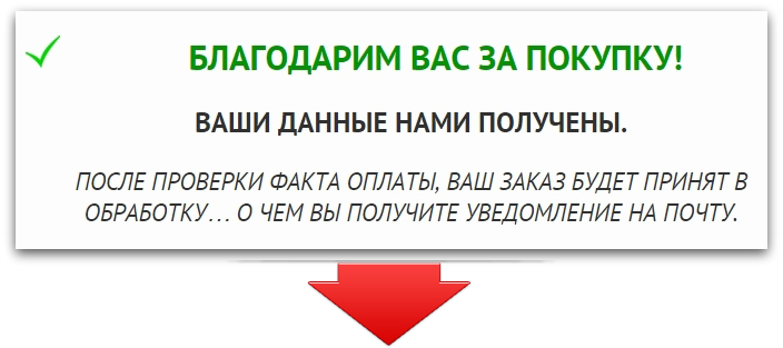 direct_payment_ok2