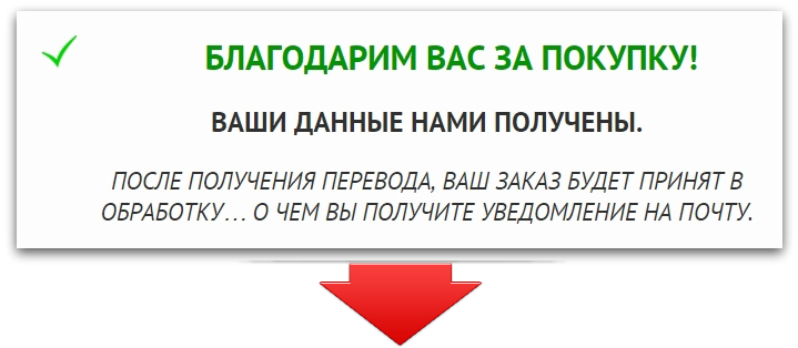 money_transfer_ok2