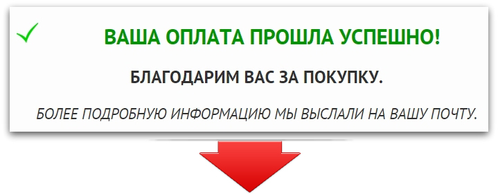 pay_success2